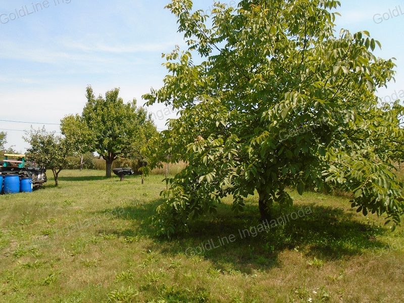 Nyíregyháza Eladó Telek/földterület