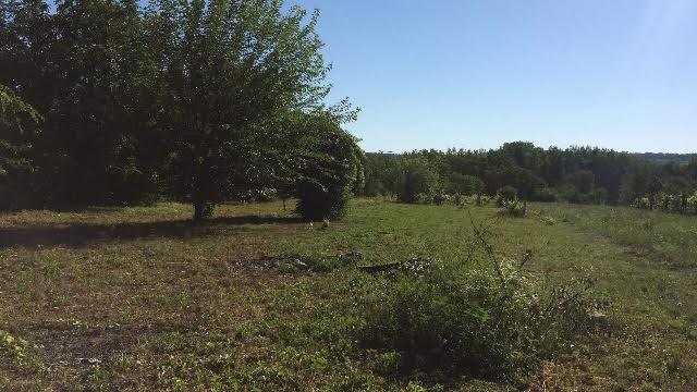 Balatonszárszó Eladó  Telek/földterület  Balatonszárszó Eladó  Telek/földterület Somogy megye 