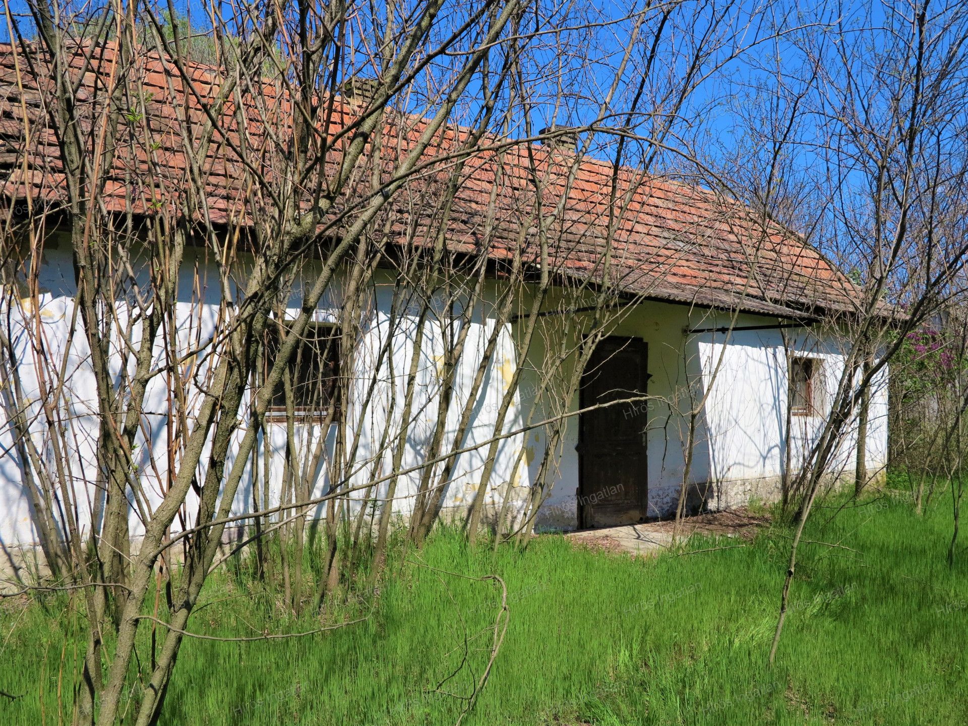 Kecskemét Eladó  Családi ház  Kecskemét Eladó  Családi ház Bács-Kiskun megye 