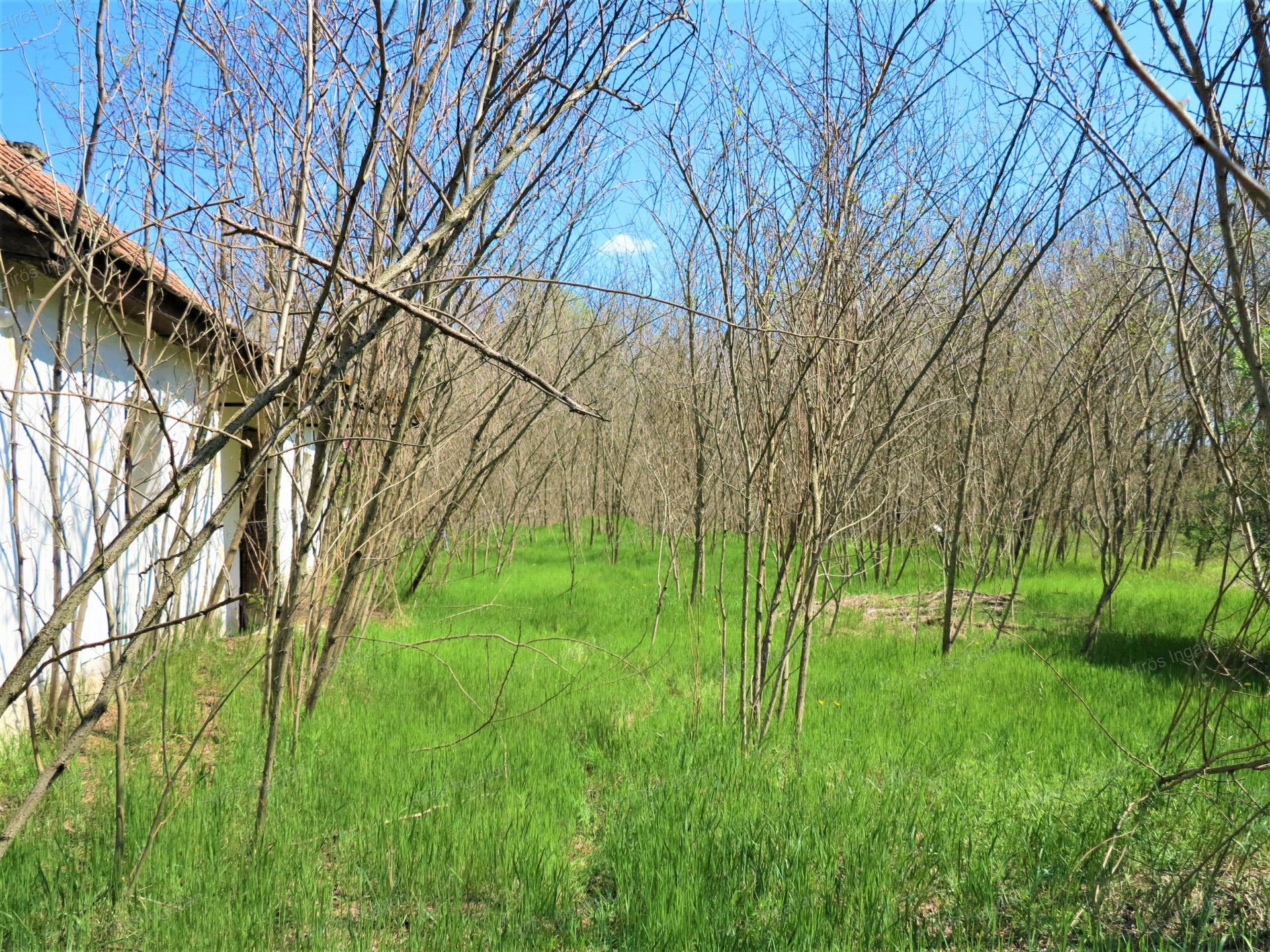 Kecskemét Eladó  Családi ház  Kecskemét Eladó  Családi ház Bács-Kiskun megye 