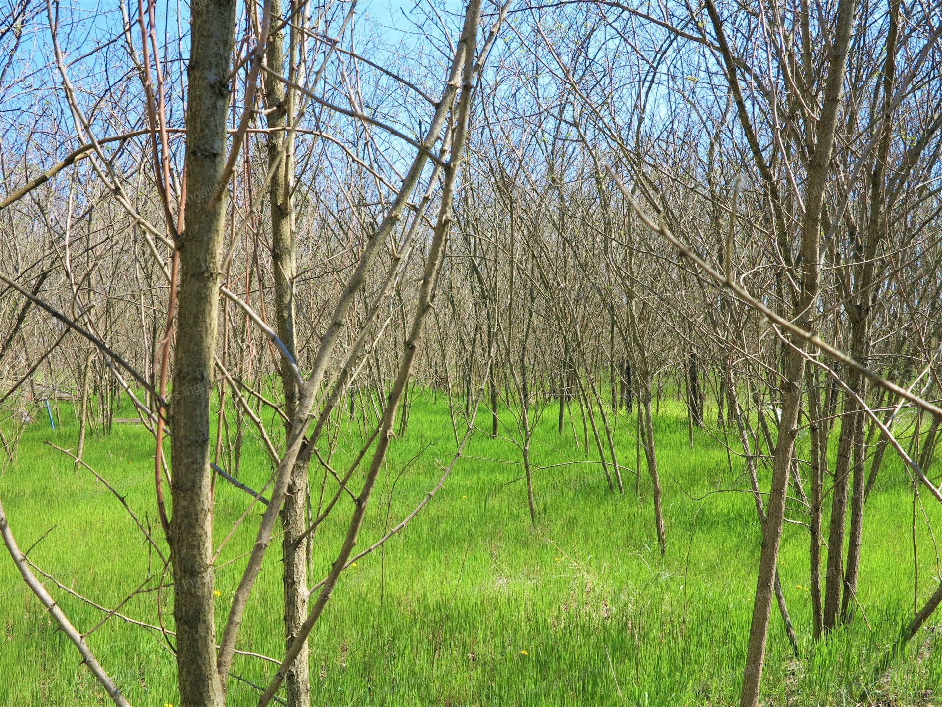 Kecskemét Eladó  Családi ház  Kecskemét Eladó  Családi ház Bács-Kiskun megye 