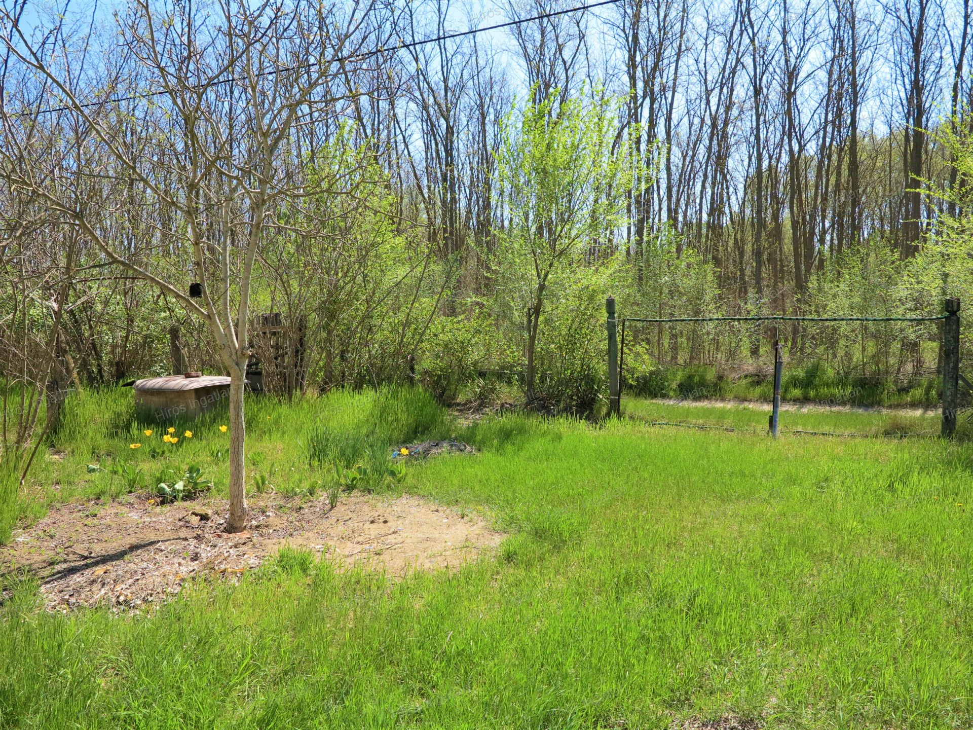 Kecskemét Eladó  Családi ház  Kecskemét Eladó  Családi ház Bács-Kiskun megye 