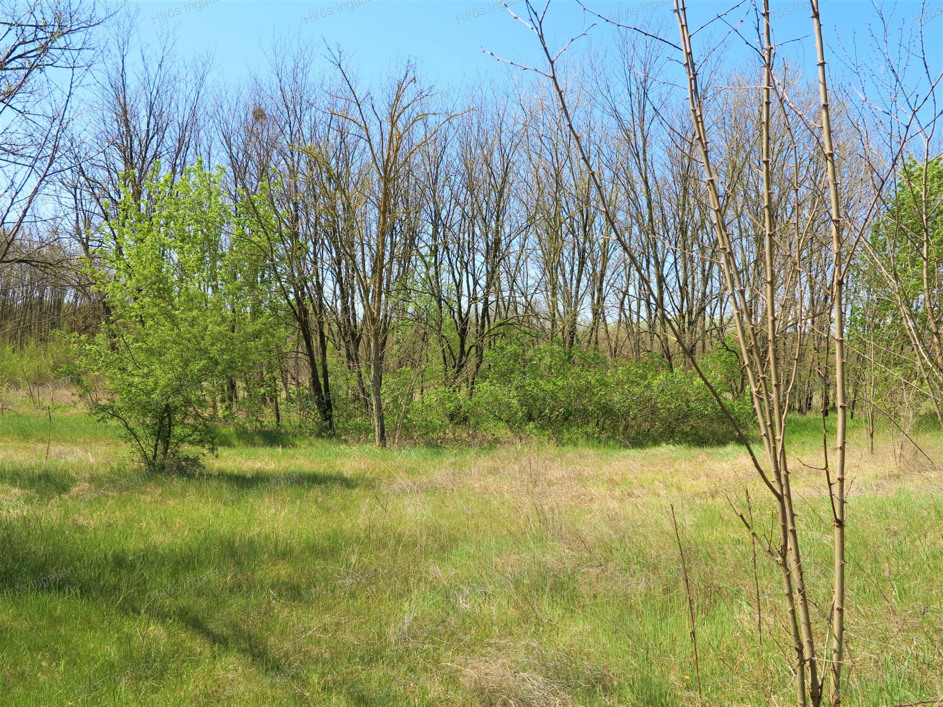 Kecskemét Eladó  Családi ház  Kecskemét Eladó  Családi ház Bács-Kiskun megye 