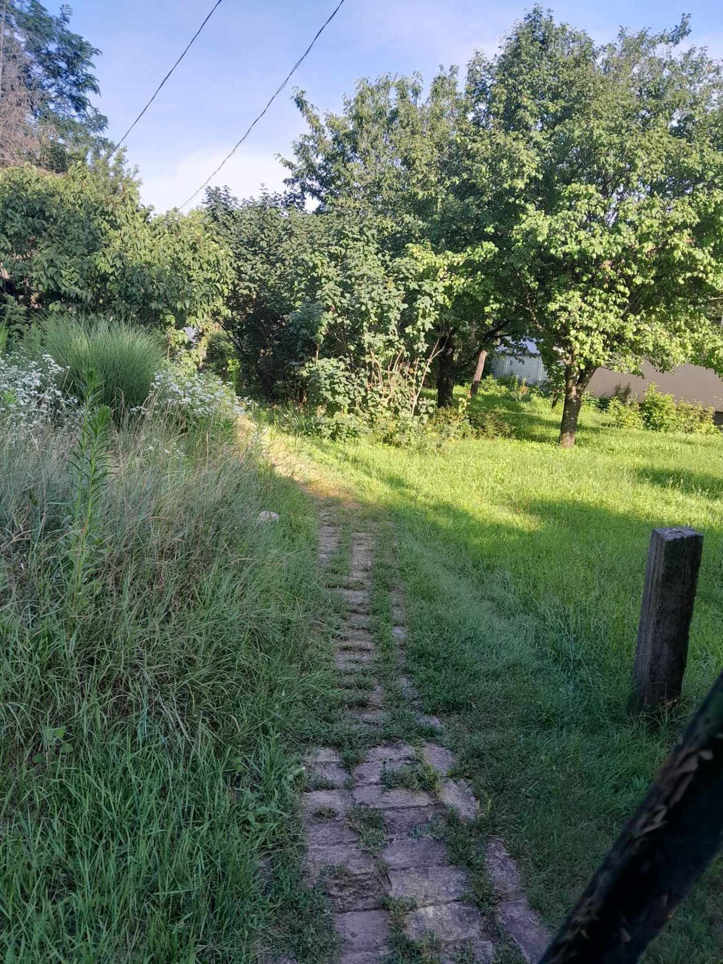 Kecskemét Eladó  Telek/földterület  Kecskemét Eladó  Telek/földterület Bács-Kiskun megye 