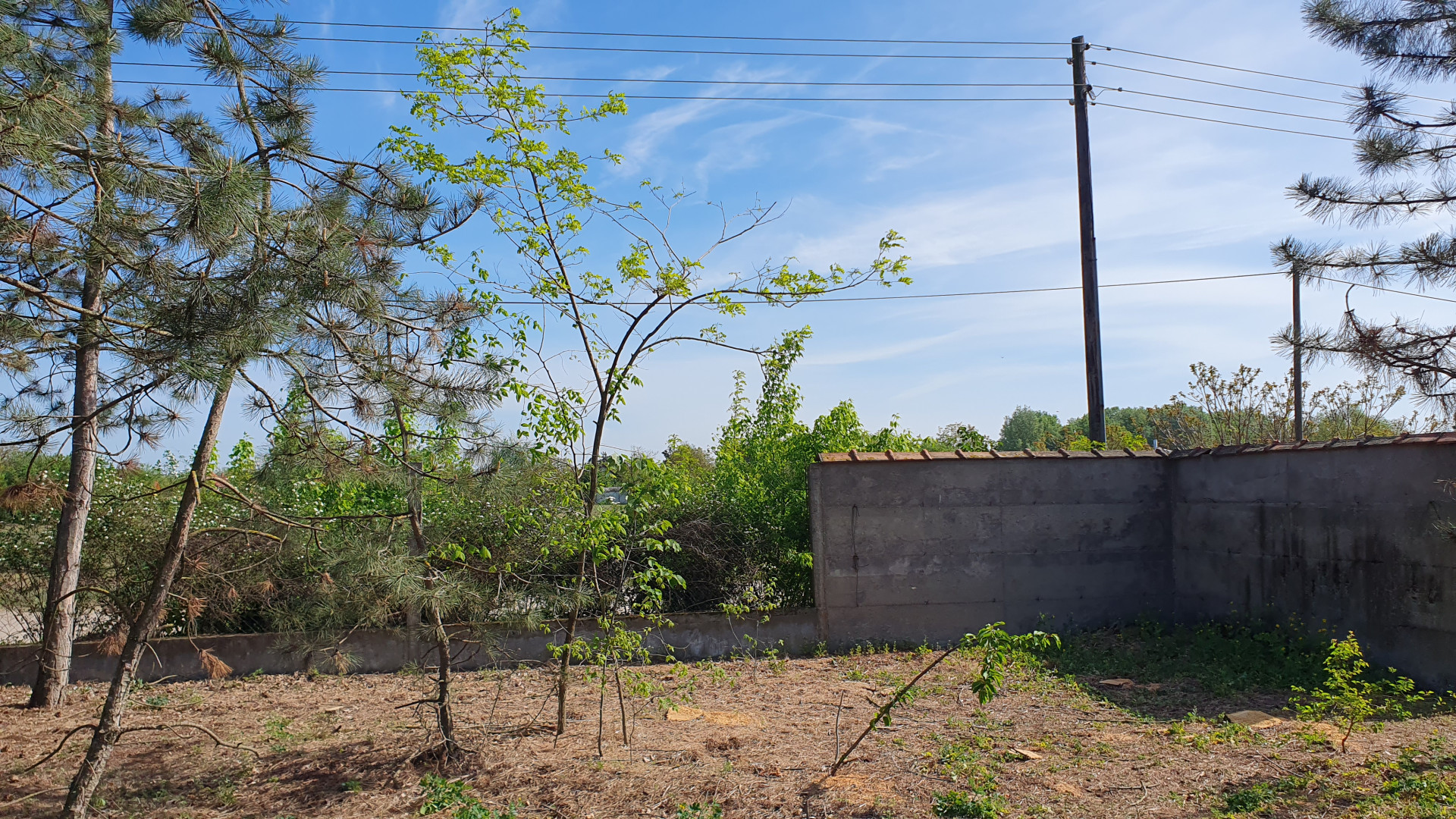 Kecskemét Eladó  Telek/földterület  Kecskemét Eladó  Telek/földterület Bács-Kiskun megye 