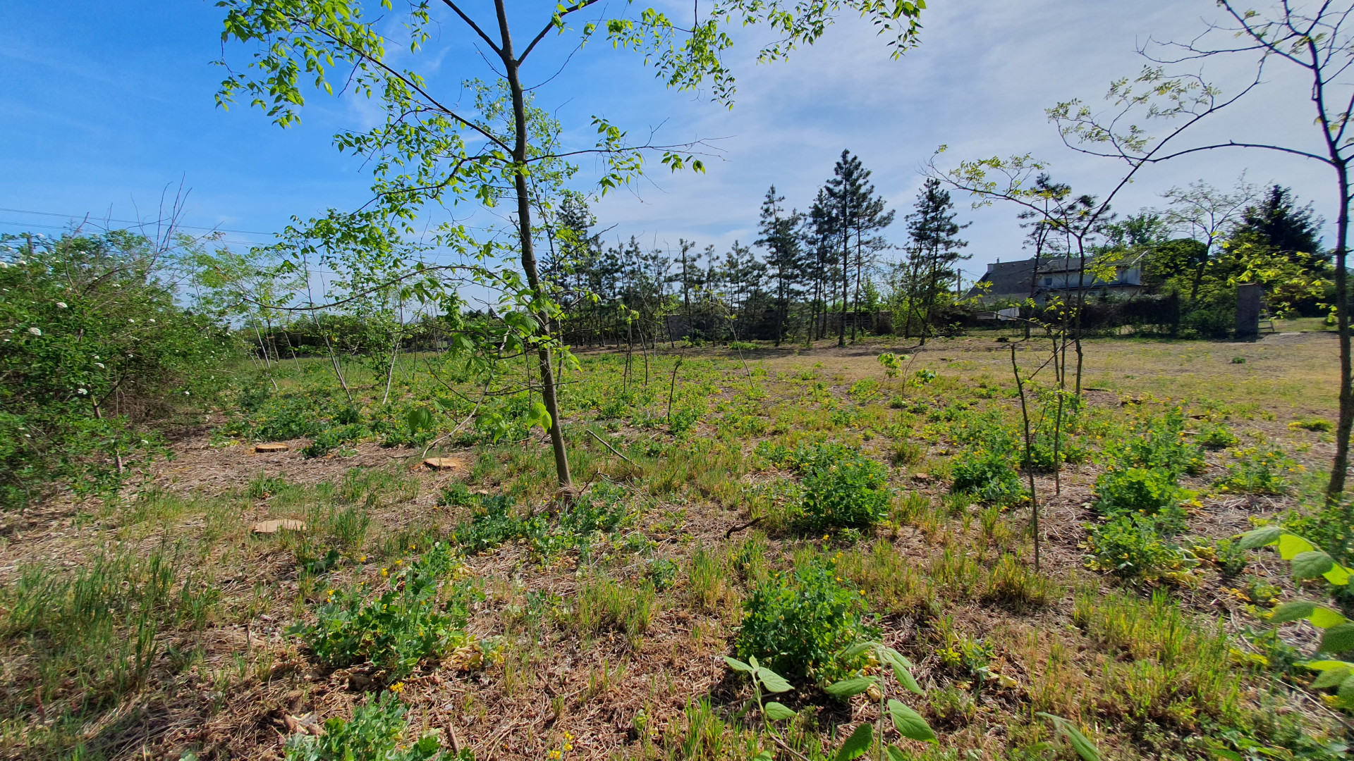 Kecskemét Eladó  Telek/földterület  Kecskemét Eladó  Telek/földterület Bács-Kiskun megye 