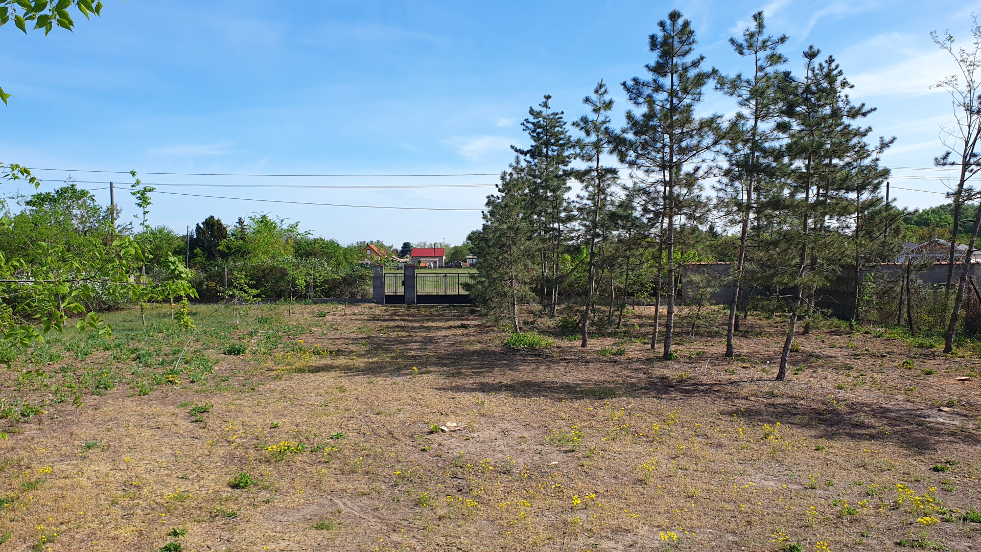 Kecskemét Eladó  Telek/földterület  Kecskemét Eladó  Telek/földterület Bács-Kiskun megye 