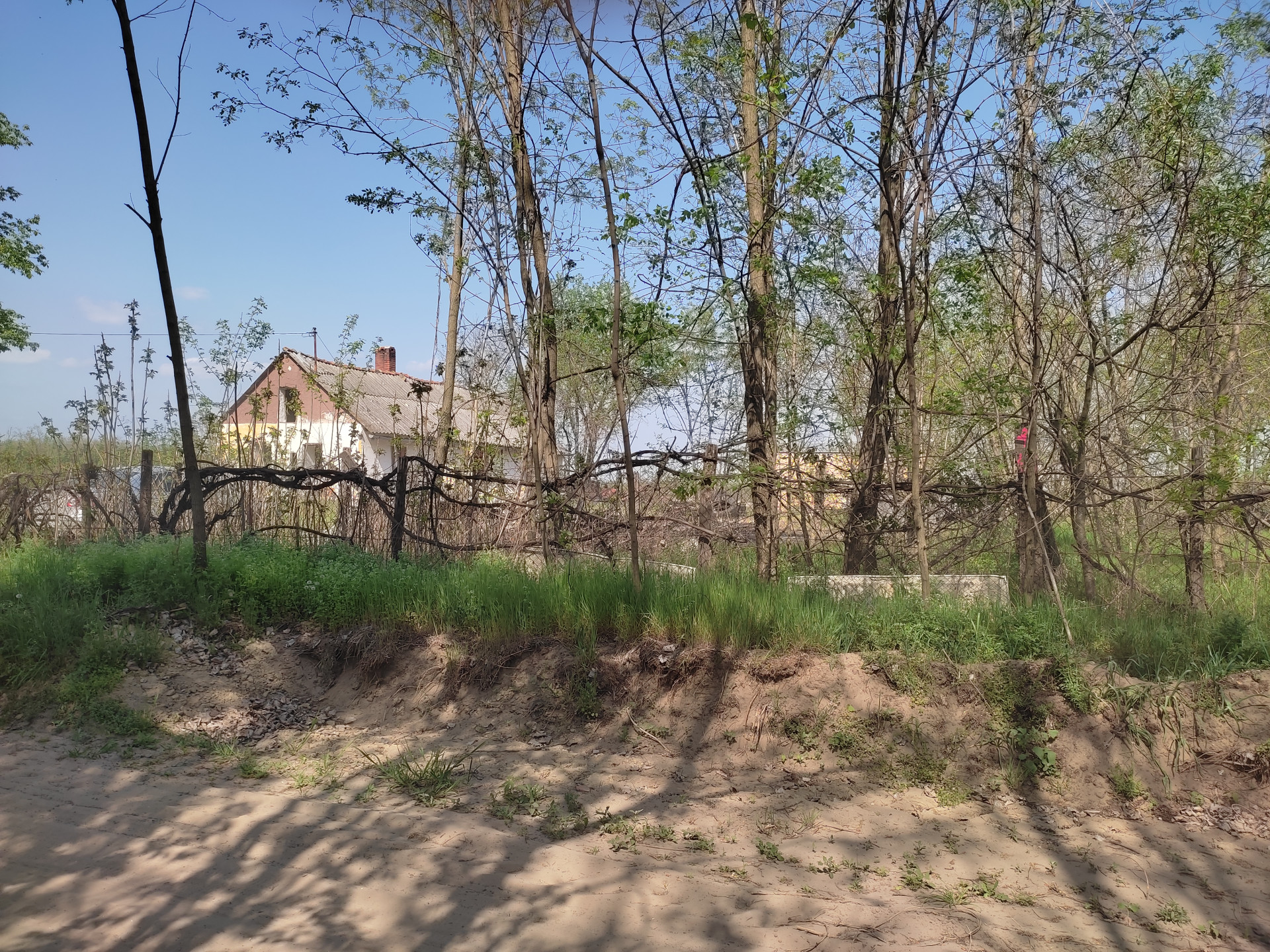 Kecskemét Eladó  Családi ház  Kecskemét Eladó  Családi ház Bács-Kiskun megye 