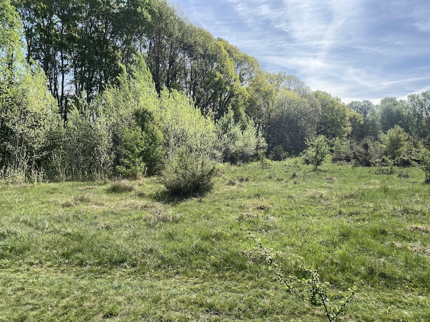 Kunbaracs Eladó Telek/földterület 