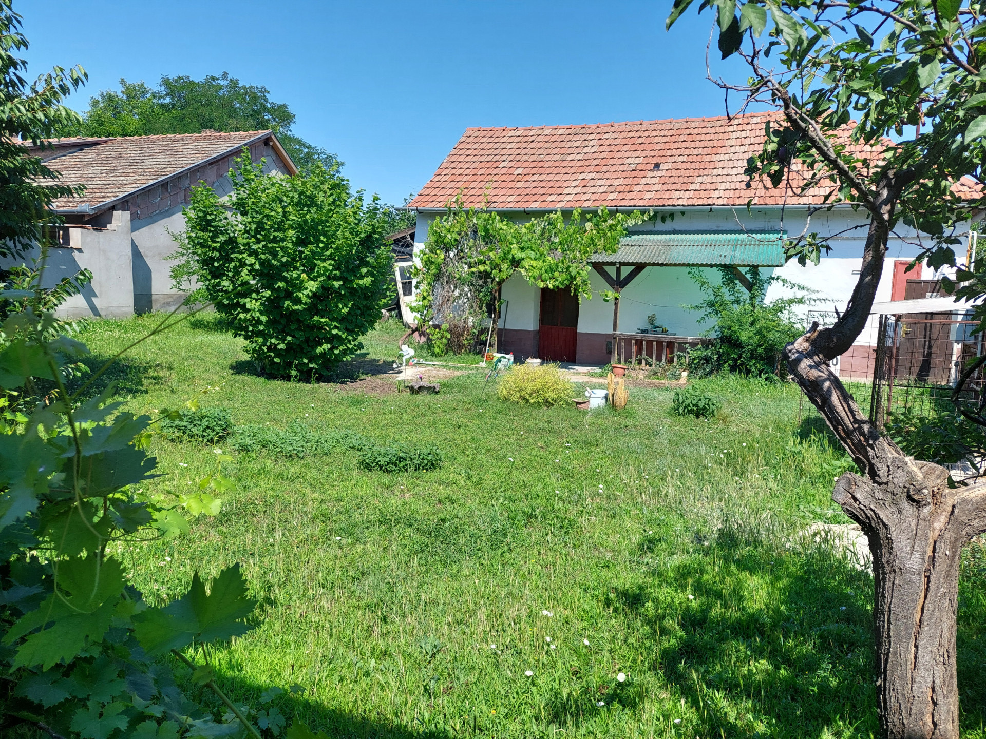 Tiszaalpár Eladó Családi ház
