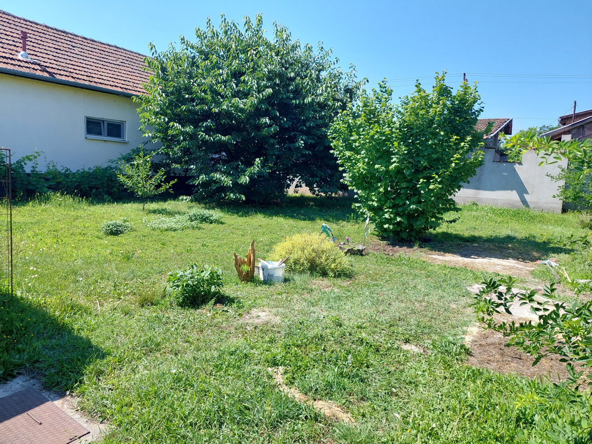 Tiszaalpár Eladó  Családi ház  Tiszaalpár Eladó  Családi ház Bács-Kiskun megye 