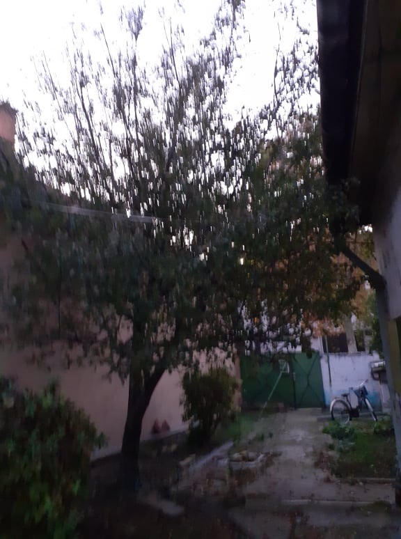 Kecskemét Eladó  Telek/földterület  Kecskemét Eladó  Telek/földterület Bács-Kiskun megye 