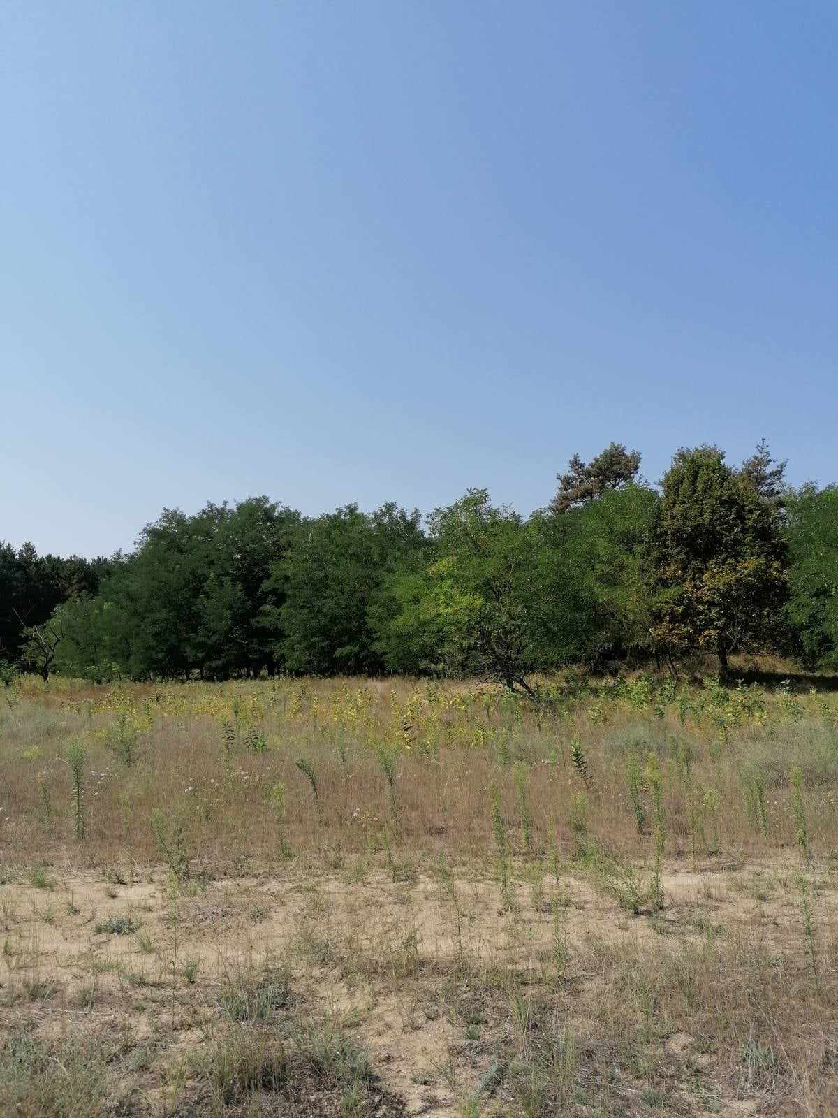 Kecskemét Eladó  Telek/földterület  Kecskemét Eladó  Telek/földterület Bács-Kiskun megye 