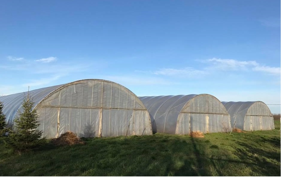 Kecskemét Eladó  Telek/földterület  Kecskemét Eladó  Telek/földterület Bács-Kiskun megye 