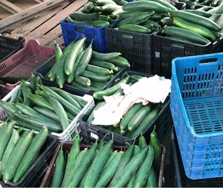 Kecskemét Eladó  Telek/földterület  Kecskemét Eladó  Telek/földterület Bács-Kiskun megye 