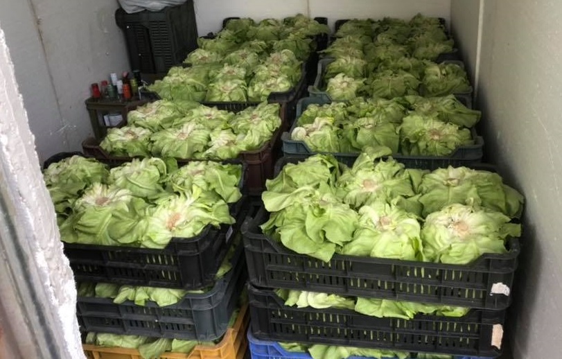 Kecskemét Eladó  Telek/földterület  Kecskemét Eladó  Telek/földterület Bács-Kiskun megye 