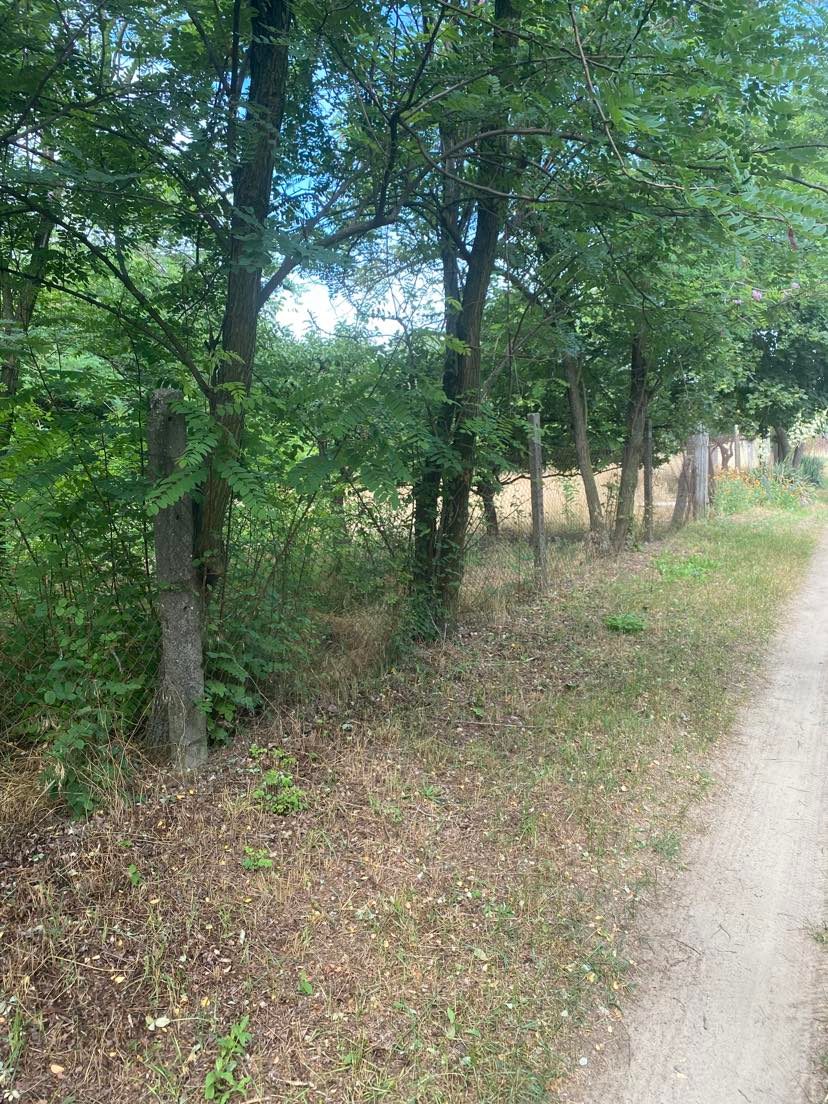 Kecskemét Eladó  Telek/földterület  Kecskemét Eladó  Telek/földterület Bács-Kiskun megye 