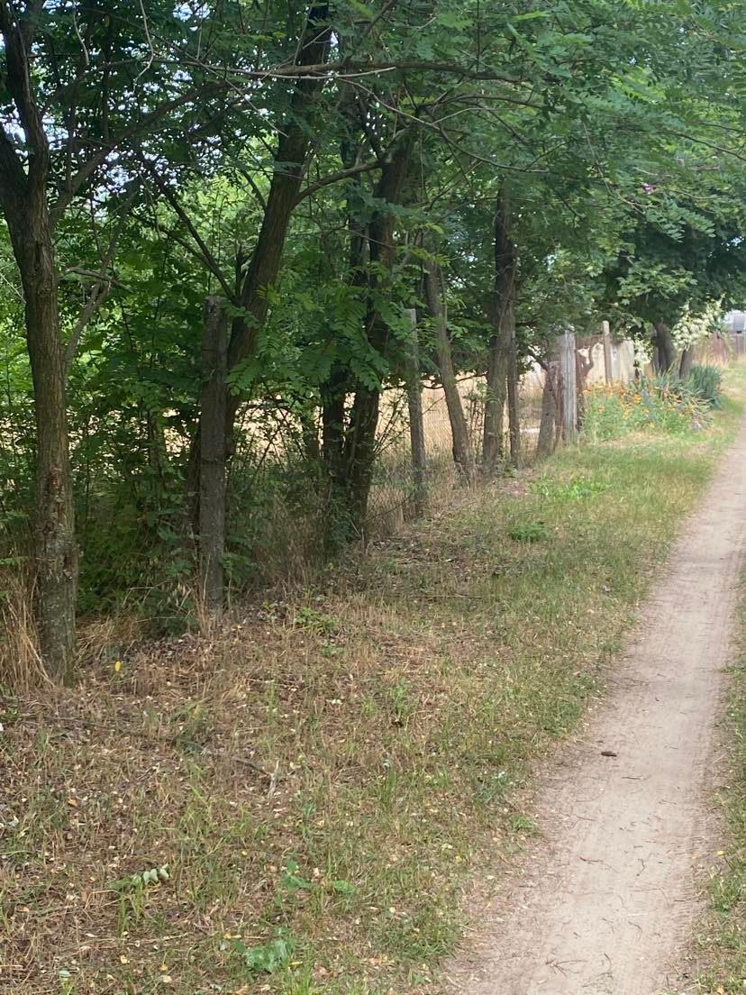 Kecskemét Eladó  Telek/földterület  Kecskemét Eladó  Telek/földterület Bács-Kiskun megye 