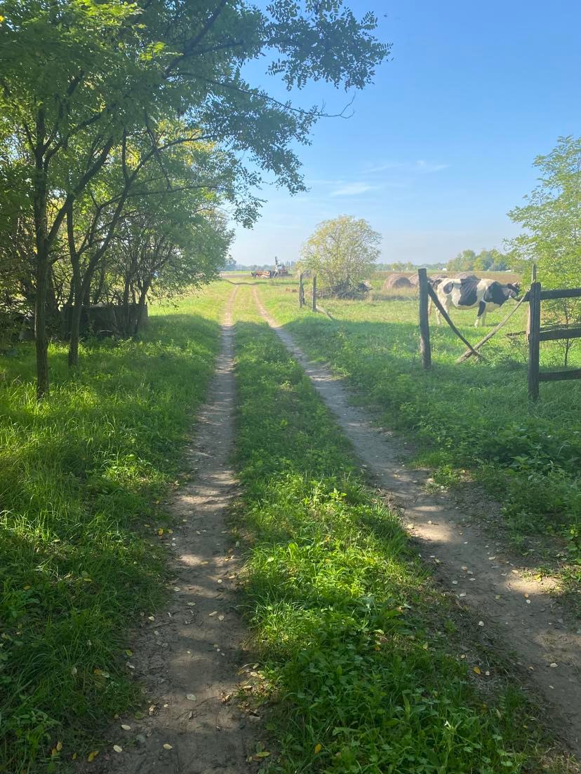 Fülöpháza Eladó  Családi ház  Fülöpháza Eladó  Családi ház Bács-Kiskun megye 