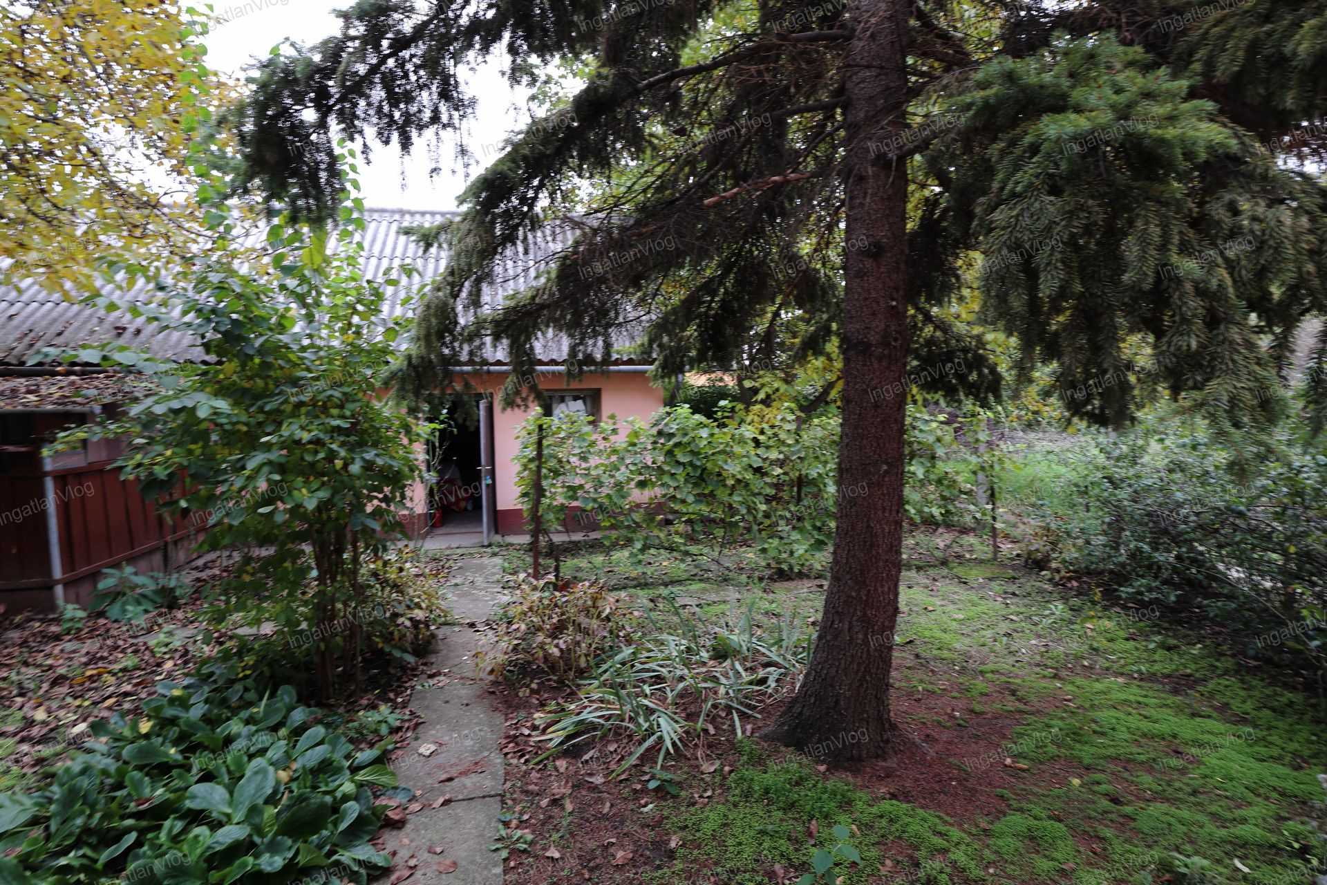 Kunhegyes Eladó  Családi ház  Kunhegyes Eladó  Családi ház Jász-Nagykun-Szolnok megye 