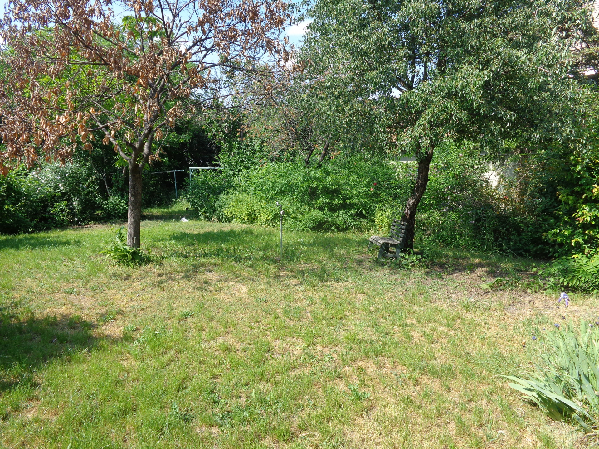 Budapest Eladó  Lakás  Budapest Eladó  Lakás  