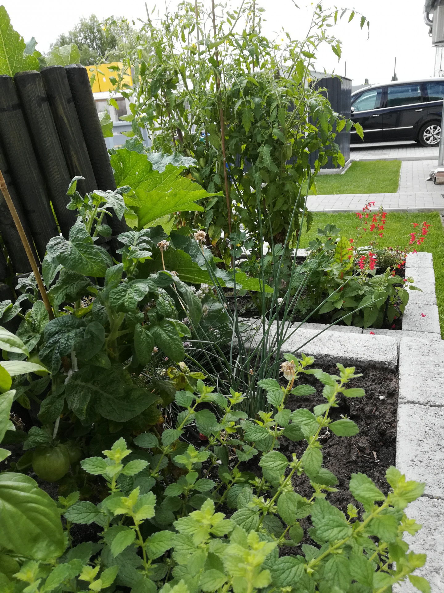 Dunaharaszti Eladó  Családi ház  Dunaharaszti Eladó  Családi ház Pest megye 