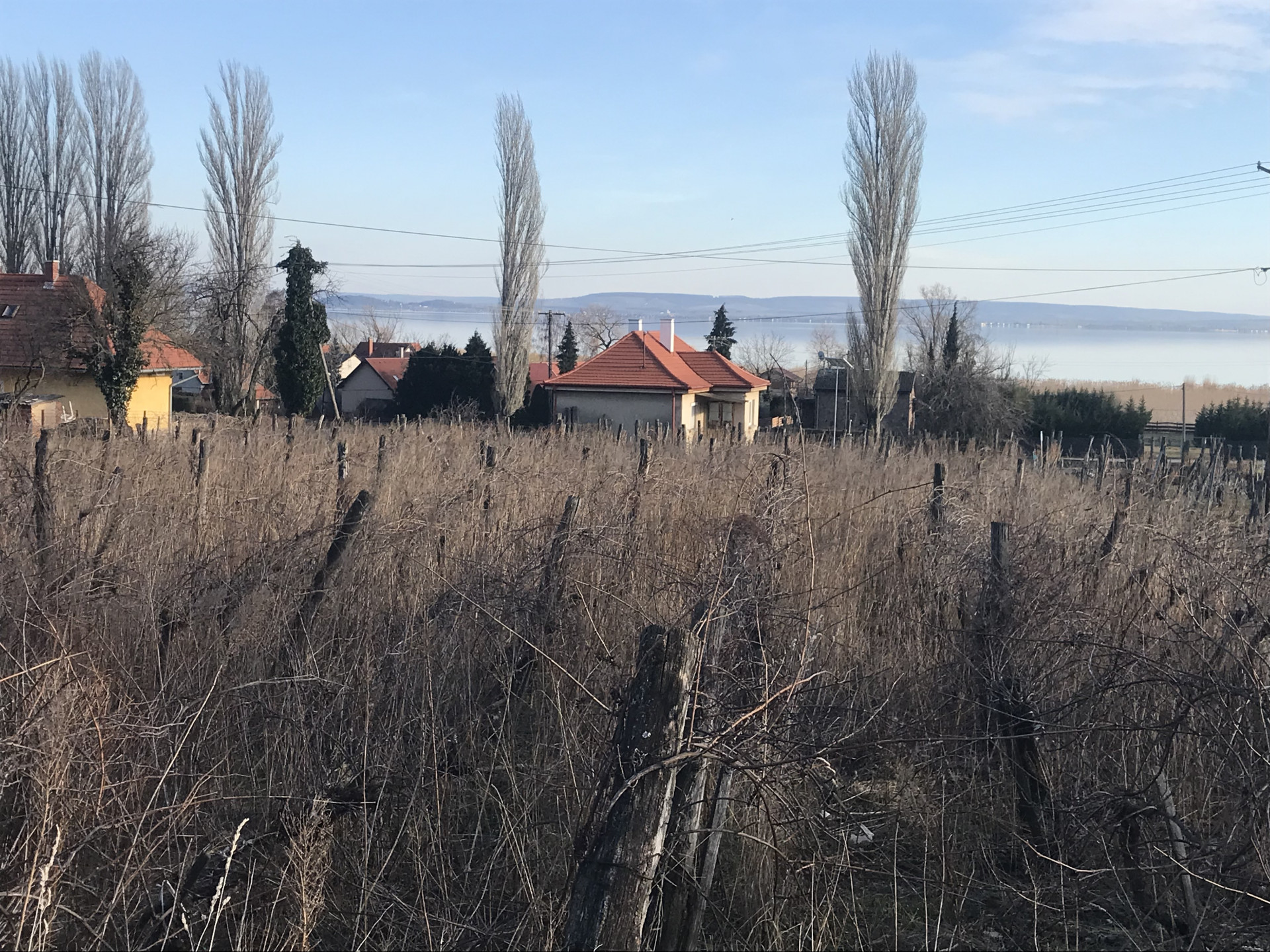 Ábrahámhegy Eladó  Telek/földterület  Ábrahámhegy Eladó  Telek/földterület Veszprém megye 