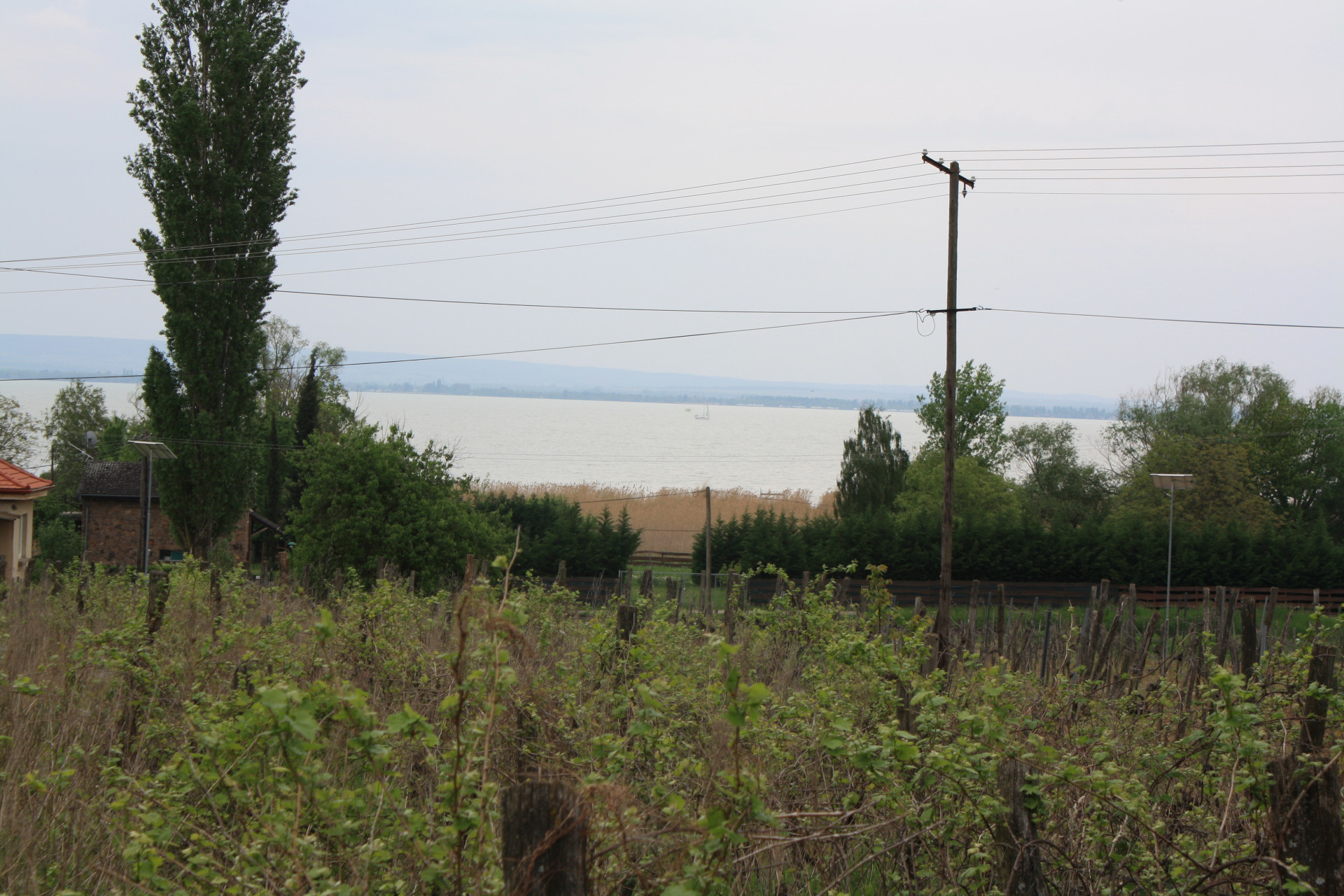 Balatonfüred Eladó  Családi ház  Balatonfüred Eladó  Családi ház Veszprém megye 