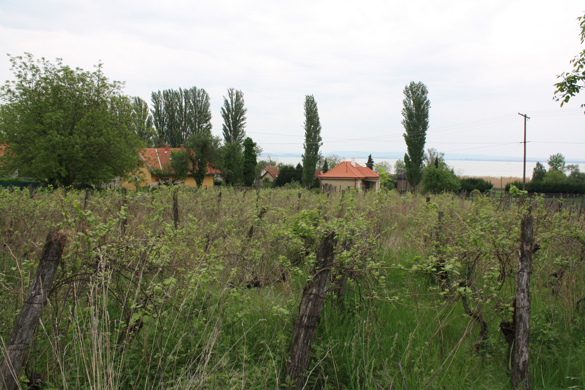 Balatonfüred Eladó  Családi ház  Balatonfüred Eladó  Családi ház Veszprém megye 