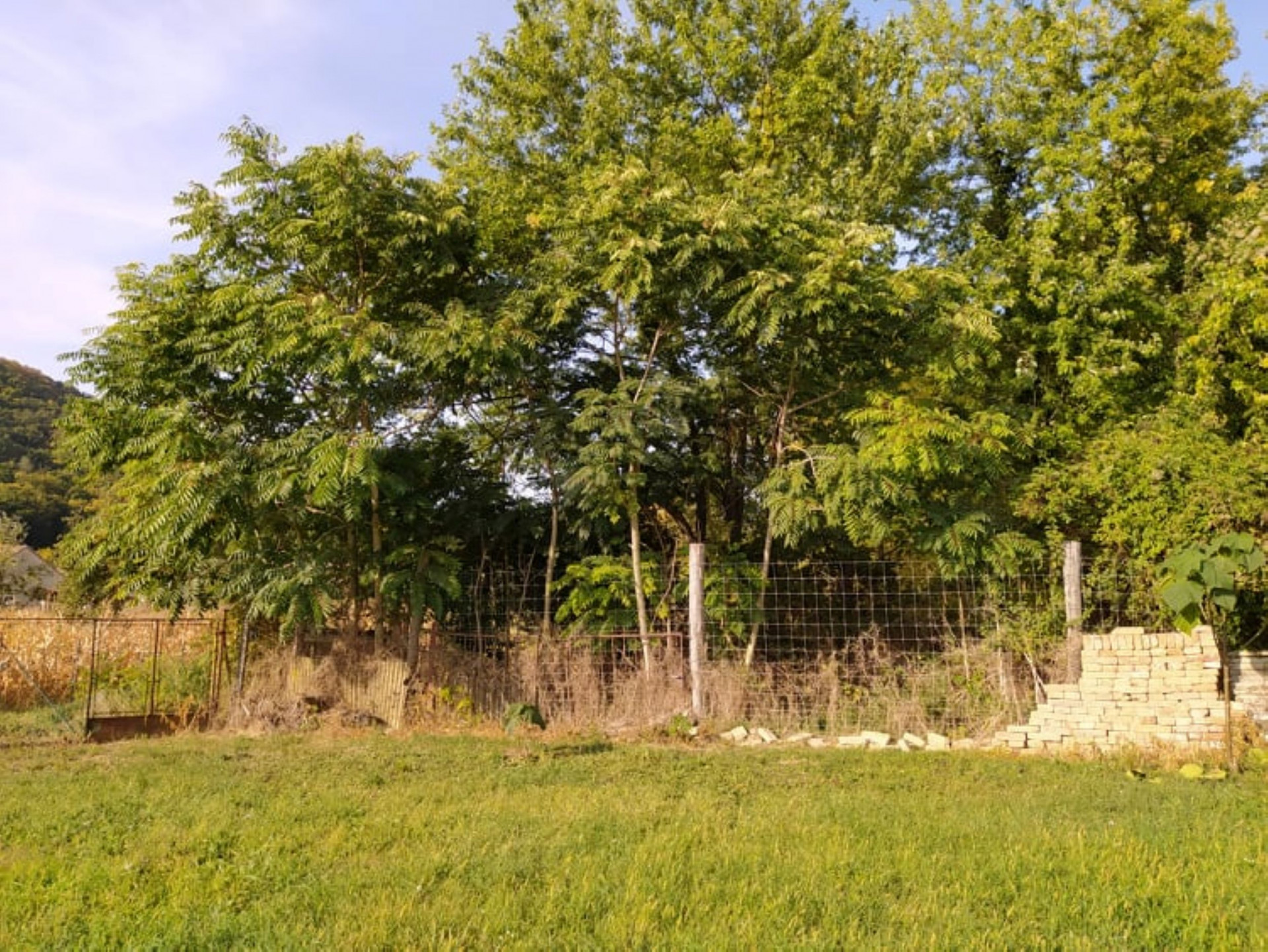 Kereki Eladó  Családi ház  Kereki Eladó  Családi ház Somogy megye 