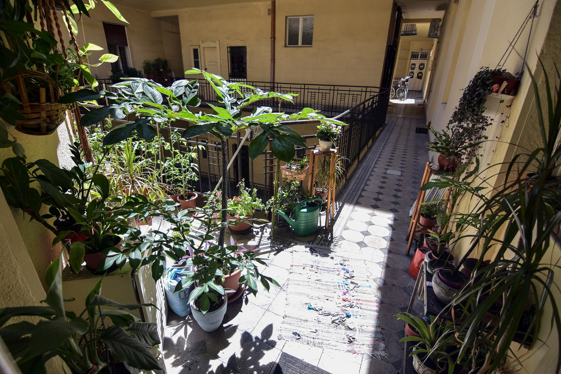 Budapest Eladó  Lakás  Budapest Eladó  Lakás  