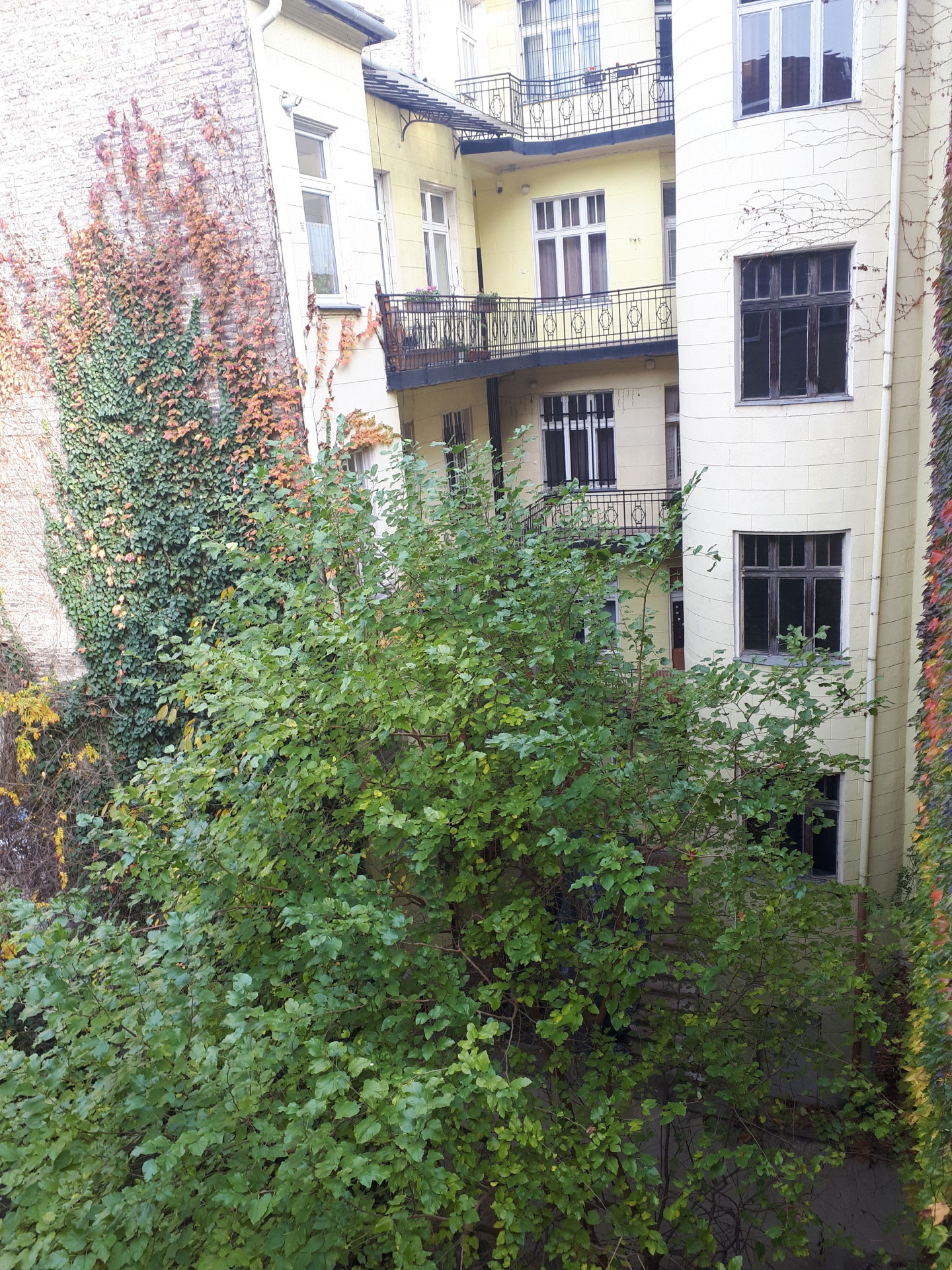 Budapest Kiadó  Lakás  Budapest Kiadó  Lakás  