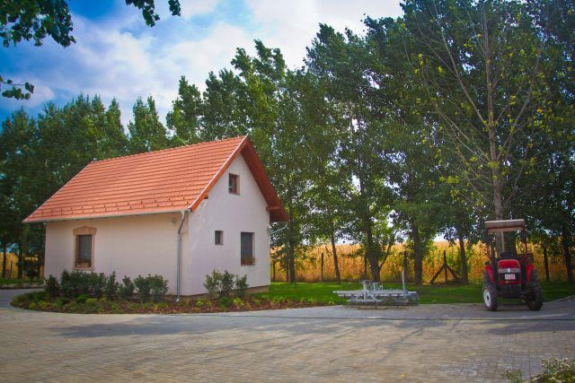 Budapest Eladó  Lakás  Budapest Eladó  Lakás  