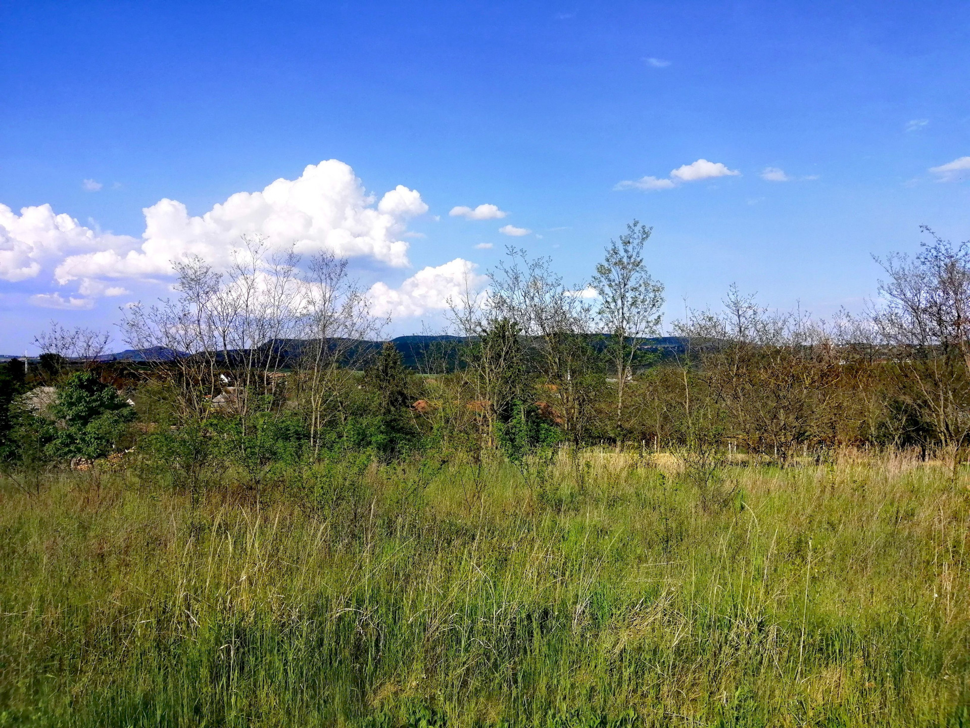 Karmacs Telek/földterület Eladó