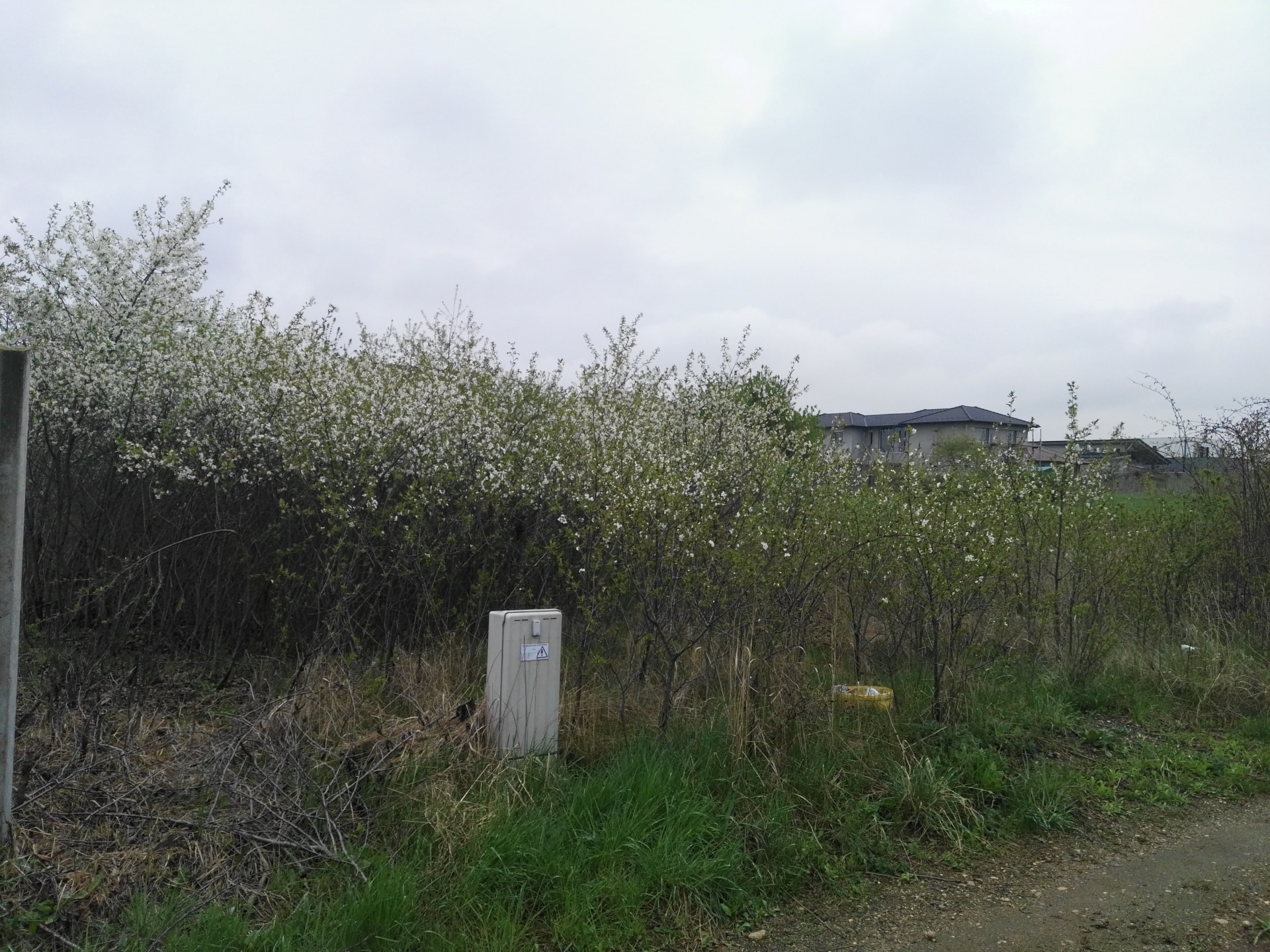 Budapest Eladó  Telek/földterület  Budapest Eladó  Telek/földterület  