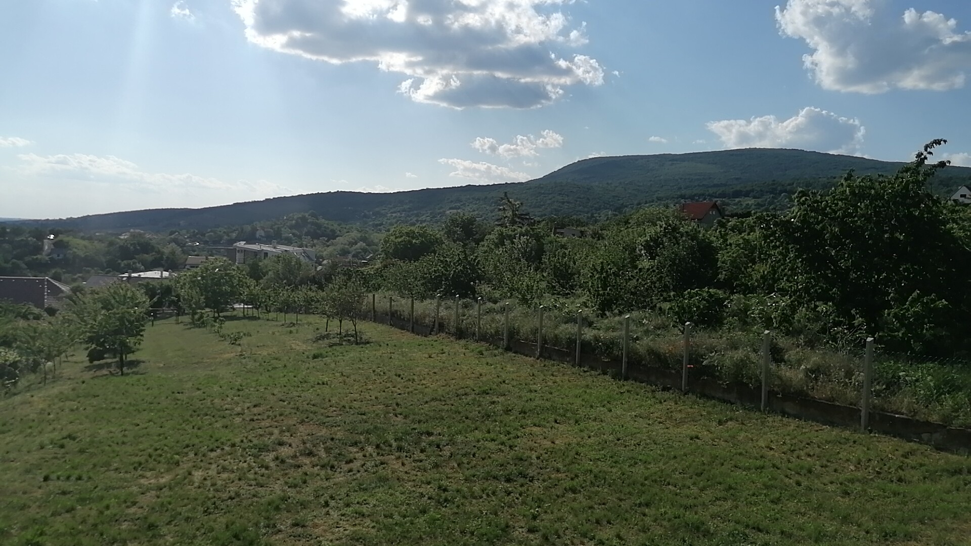Pécs Telek/földterület Eladó