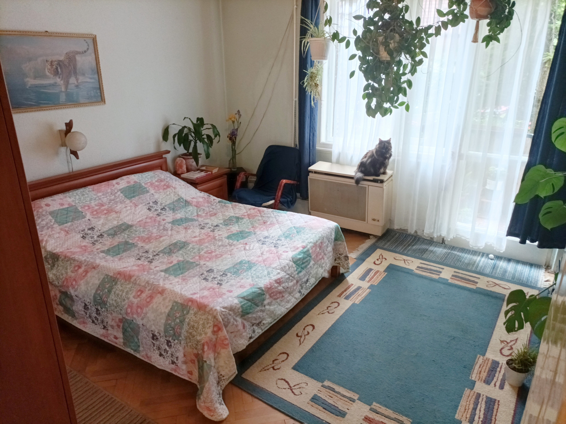 Budapest Eladó  Lakás  Budapest Eladó  Lakás  