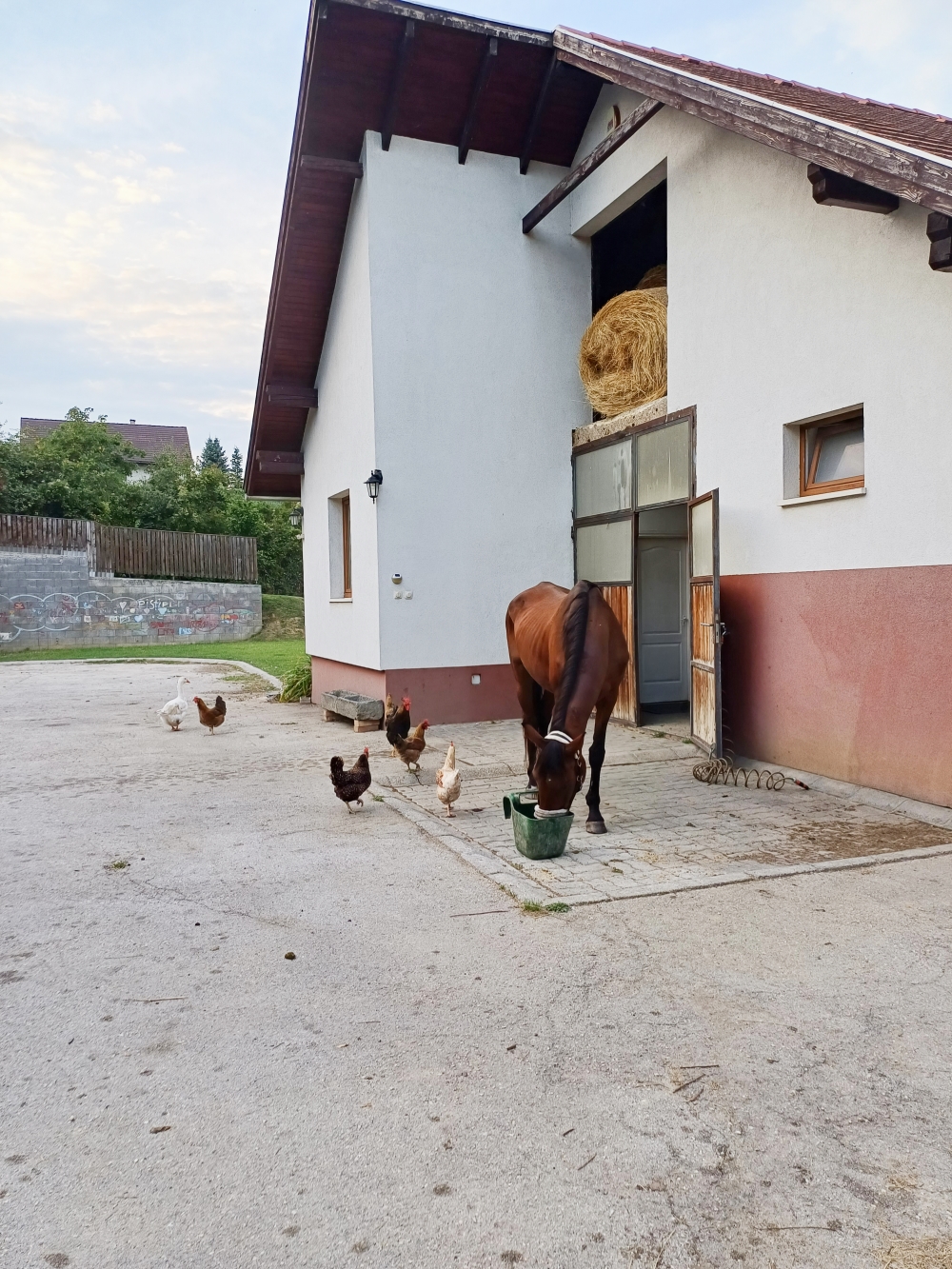 Pilisszentkereszt Eladó  Üdülő/nyaraló  Pilisszentkereszt Eladó  Üdülő/nyaraló Pest megye 