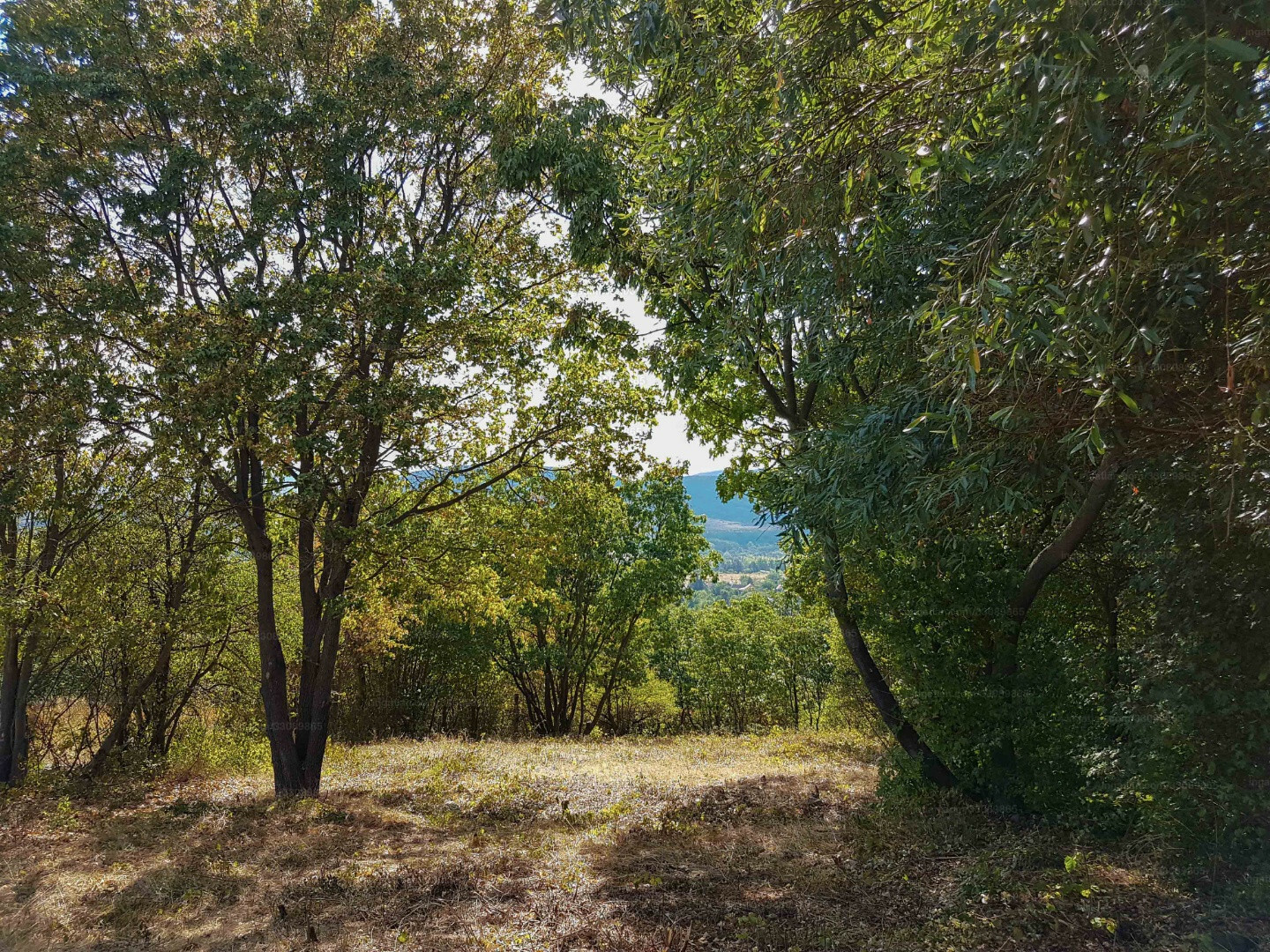 Szentendre Eladó  Telek/földterület  Szentendre Eladó  Telek/földterület Pest megye 