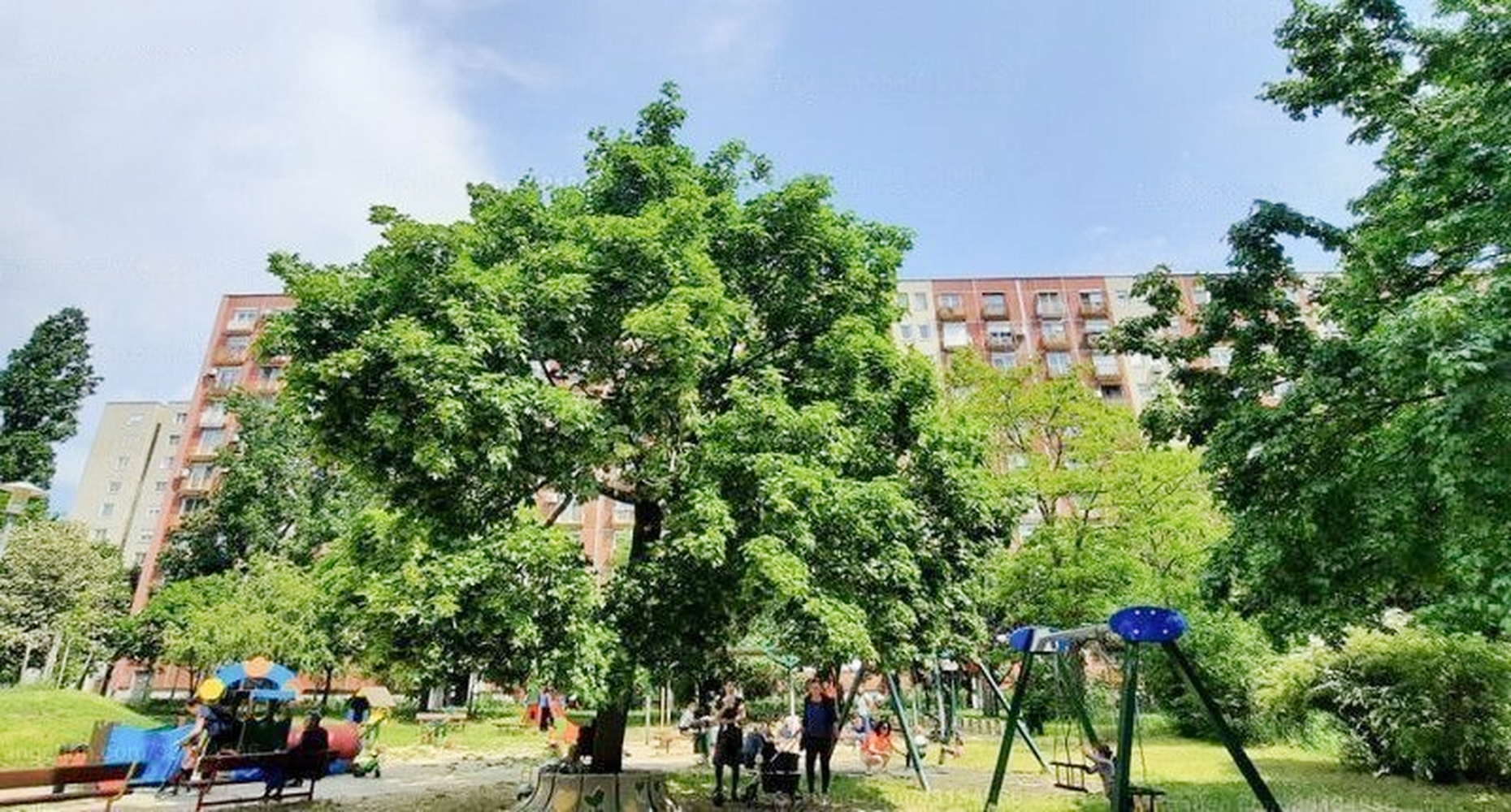 Budapest Eladó  Lakás  Budapest Eladó  Lakás  