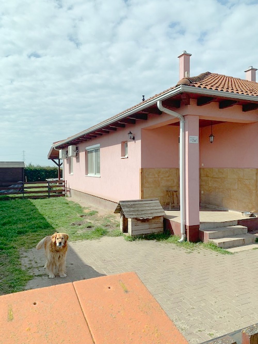 Kakucs Eladó  Lakás  Kakucs Eladó  Lakás Pest megye 