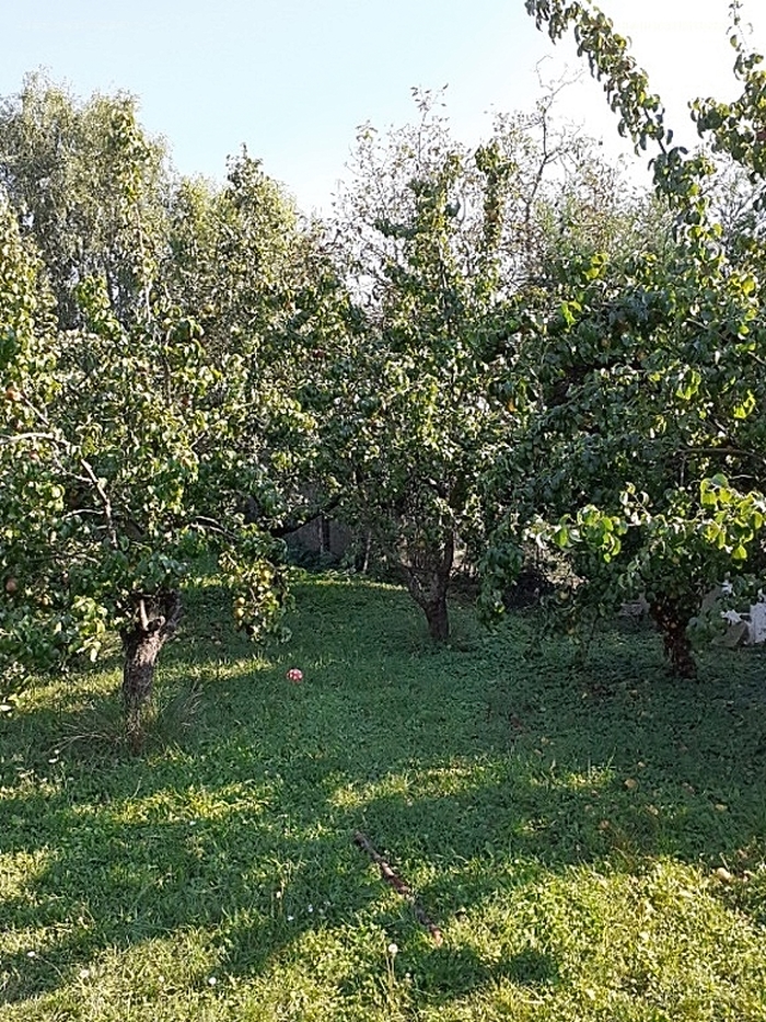 Pomáz Eladó  Családi ház  Pomáz Eladó  Családi ház Pest megye 