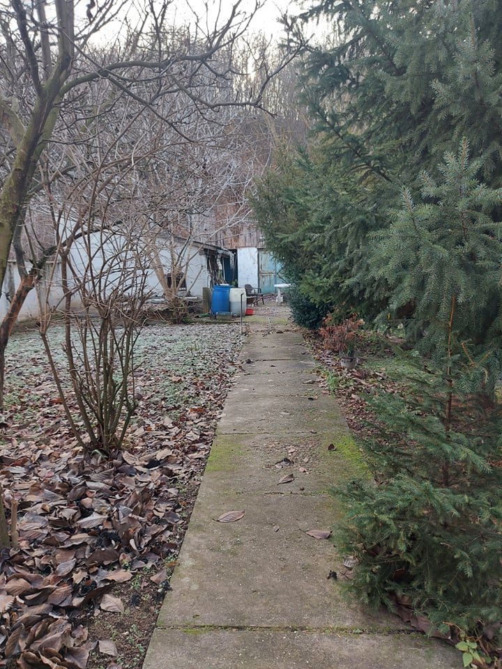 Pilismarót Eladó  Családi ház  Pilismarót Eladó  Családi ház Komárom-Esztergom megye 