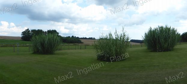 Zalatárnok Eladó  Családi ház  Zalatárnok Eladó  Családi ház Zala megye 