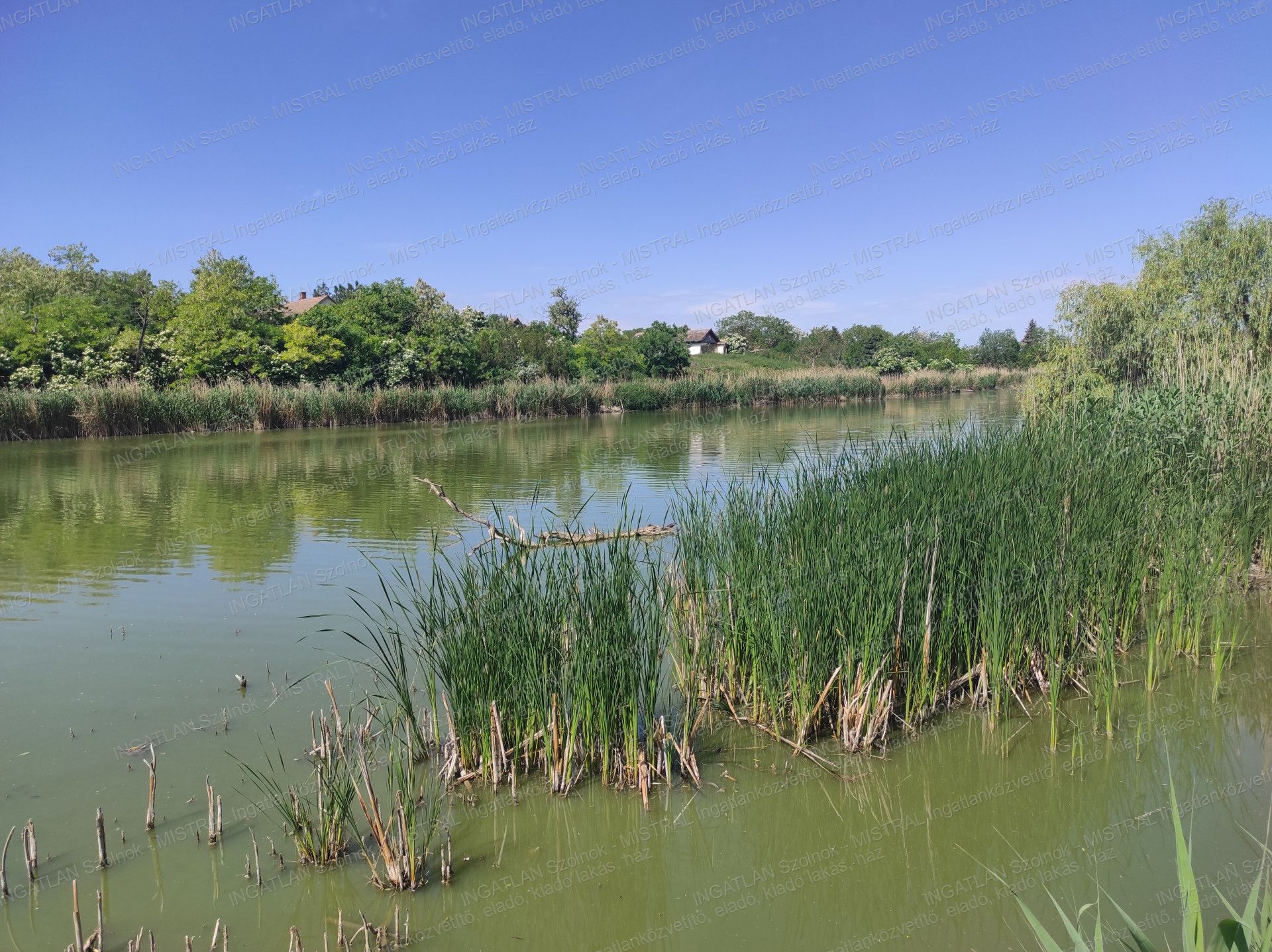 Öcsöd Eladó  Családi ház  Öcsöd Eladó  Családi ház Jász-Nagykun-Szolnok megye 