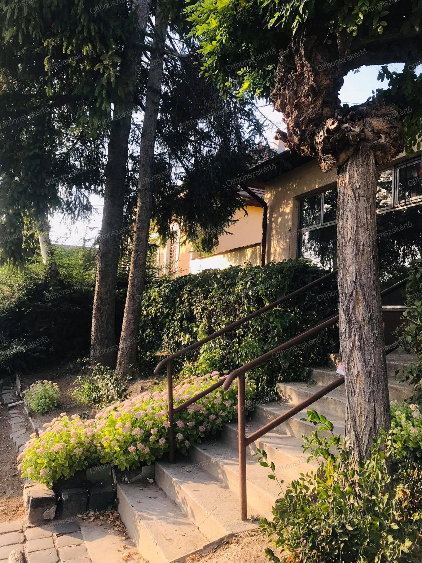 Domony Eladó  Családi ház  Domony Eladó  Családi ház Pest megye 