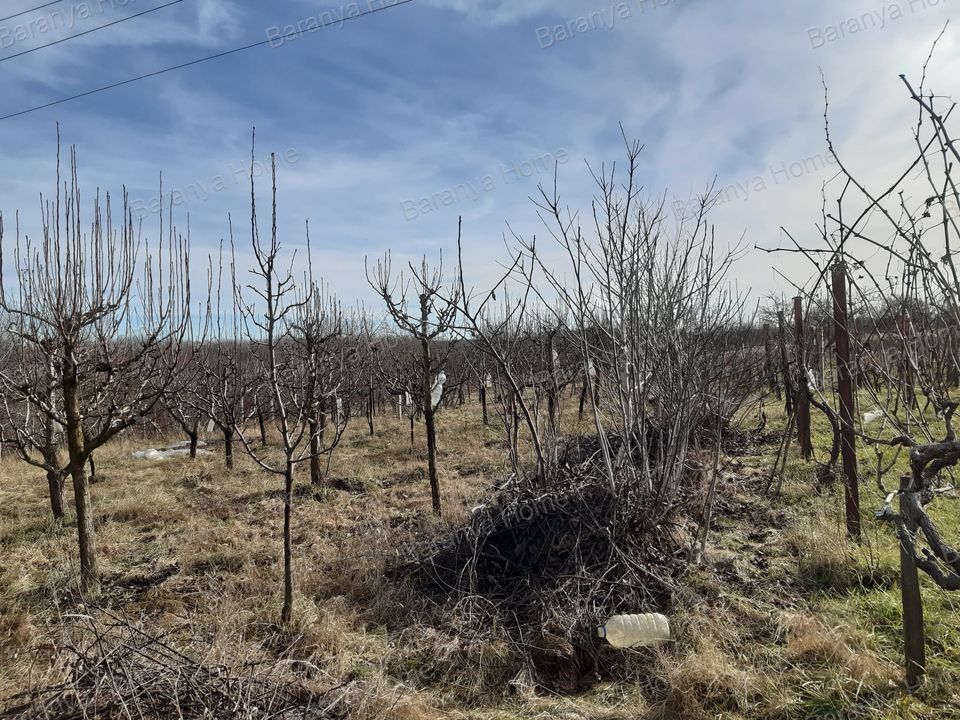 Eladó  Telek/földterület Kozármisleny  18 000 000 , # 811