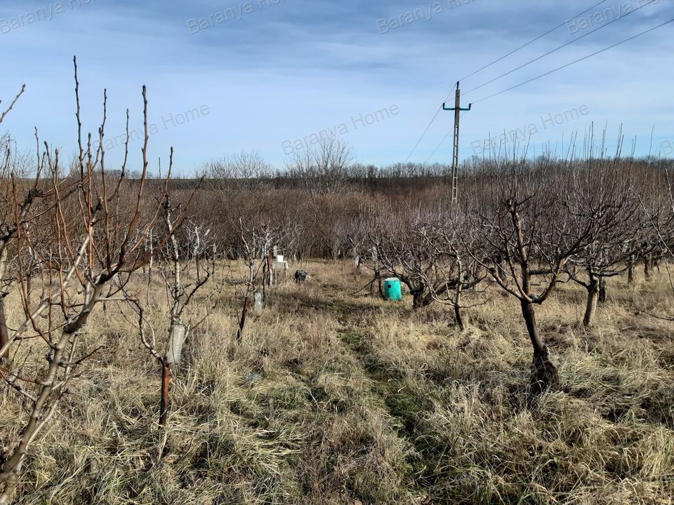 Kozármisleny Eladó  Telek/földterület  Kozármisleny Eladó  Telek/földterület Baranya megye 