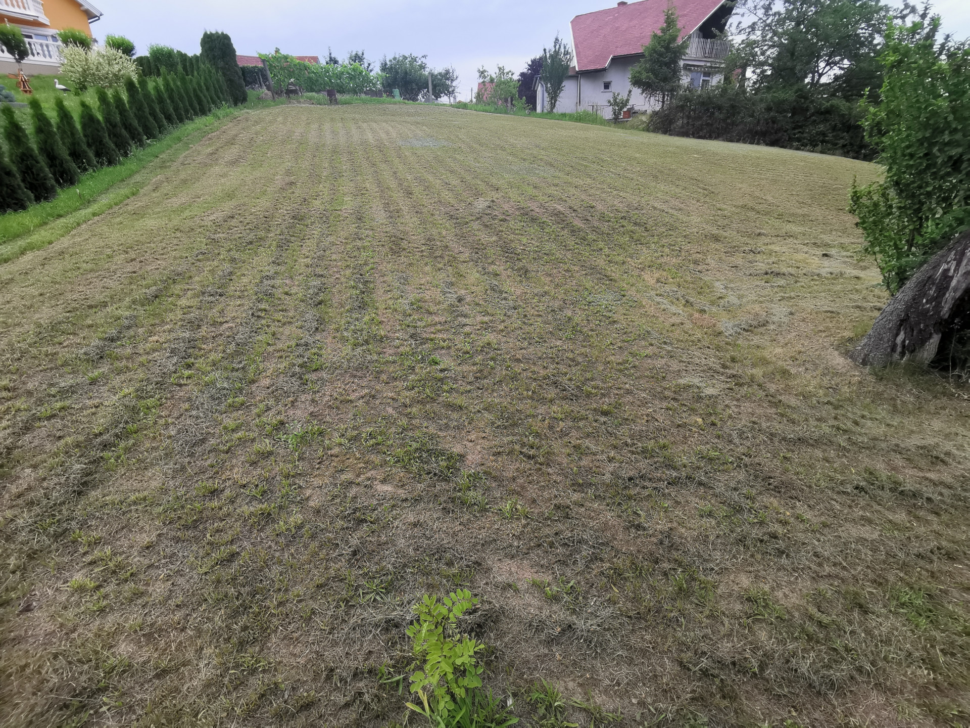 Győrújbarát Eladó  Családi ház  Győrújbarát Eladó  Családi ház Győr-Moson-Sopron megye 