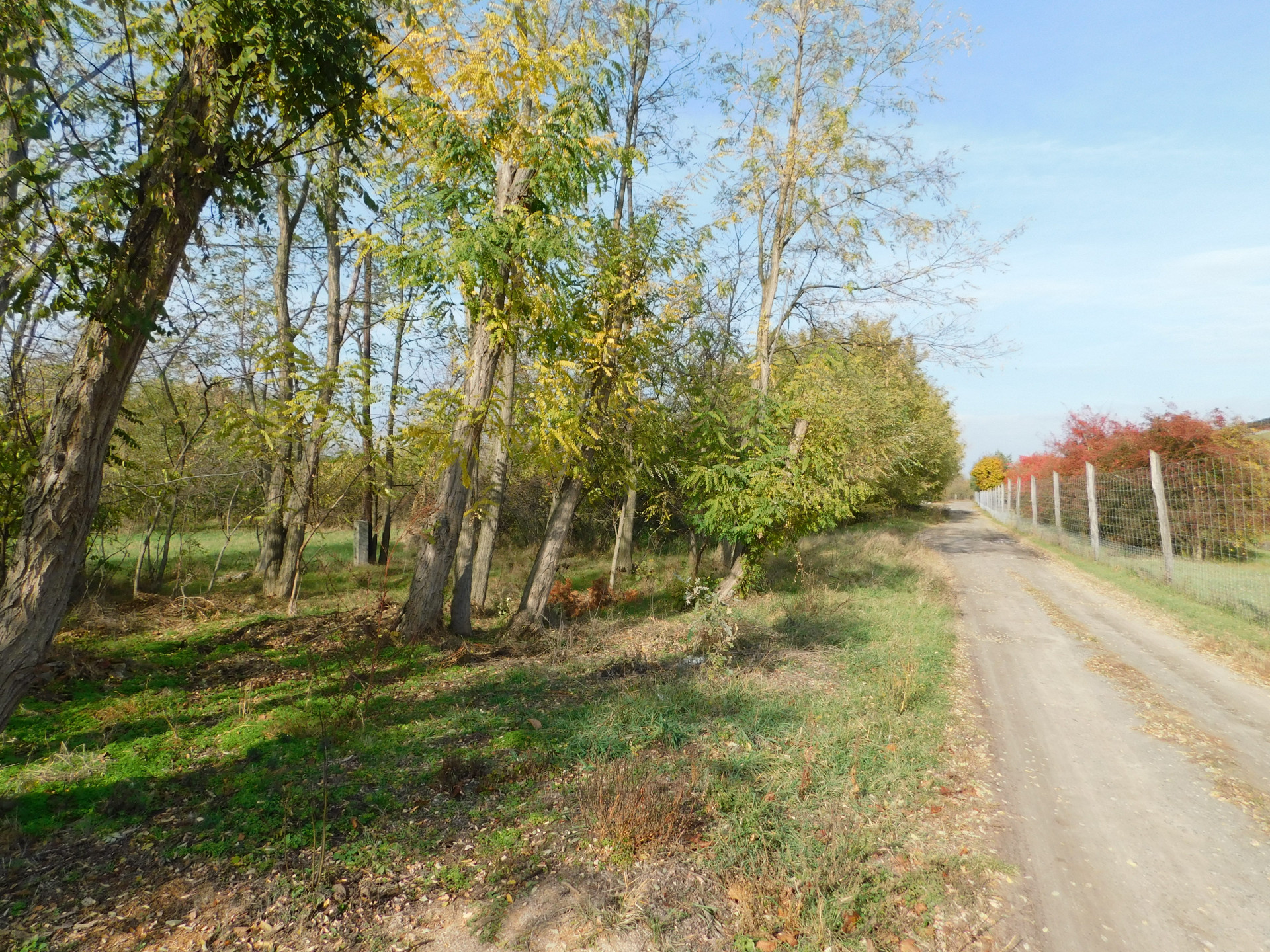 Kecskemét Eladó  Telek/földterület  Kecskemét Eladó  Telek/földterület Bács-Kiskun megye 